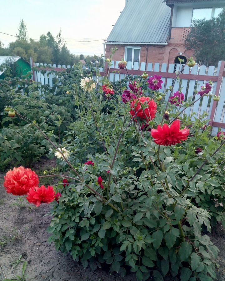 дом р-н Большеулуйский с/с Сучковский снт Родничок ул Плодовая сельсовет, Ачинск фото 8