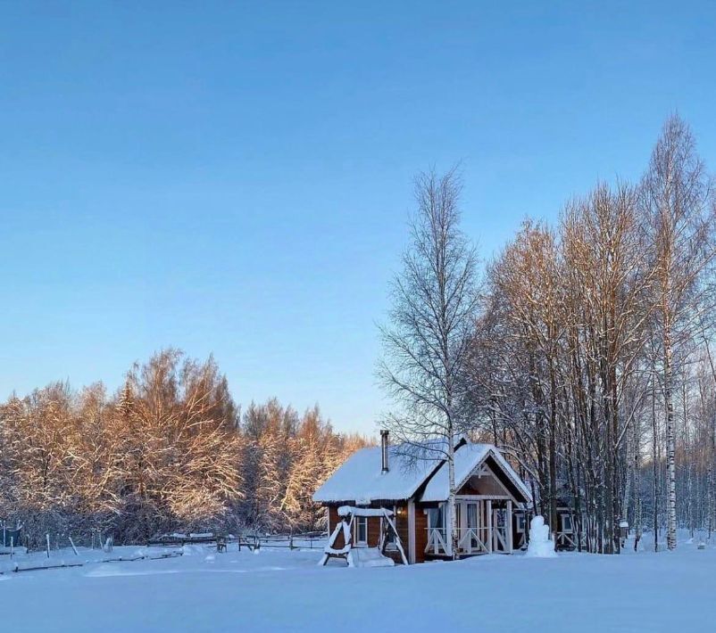 дом р-н Тосненский Любанское городское поселение фото 2