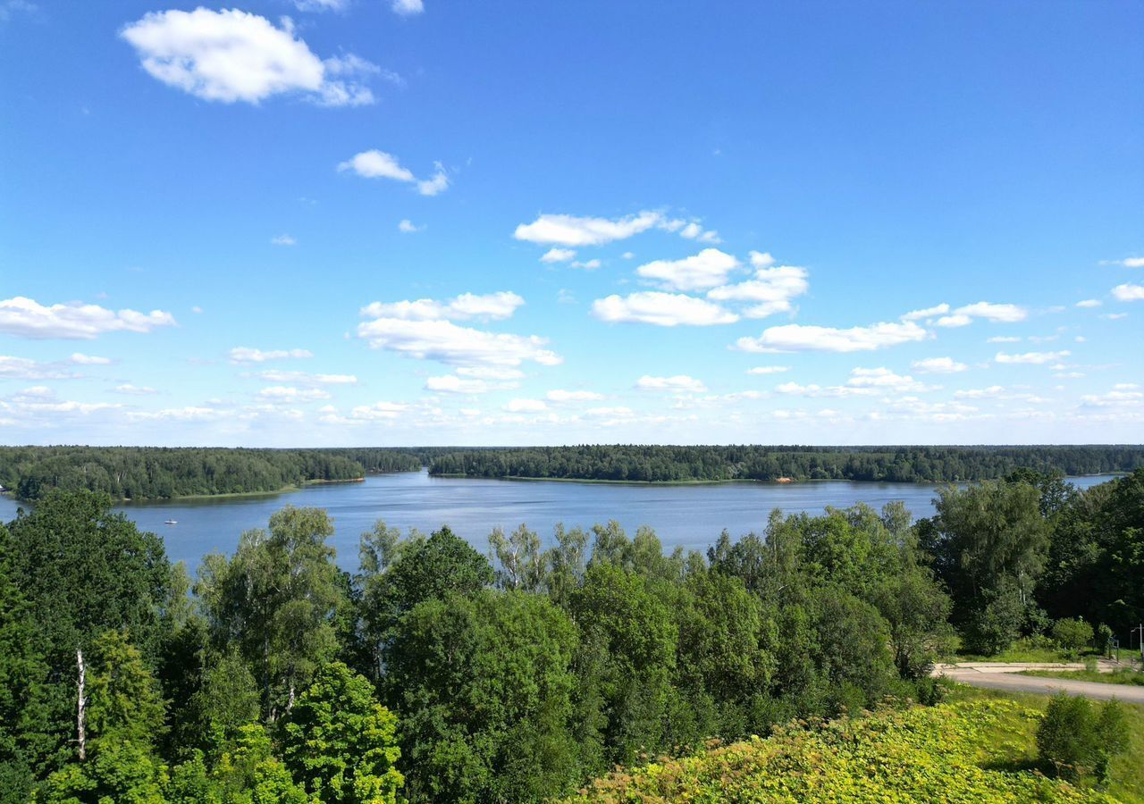 земля городской округ Истра х Ламишино 40 км, Истра, Пятницкое шоссе фото 3