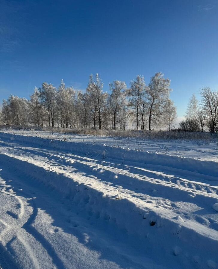 земля р-н Лаишевский с Сапуголи ул Медовая Республика Татарстан Татарстан, коттеджный пос. Никольские луга, Столбище, Никольское сельское поселение фото 3