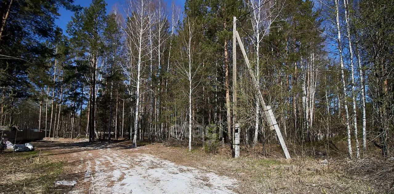 земля р-н Тюменский рп Боровский ул Новая Озерная сельское поселение Боровский фото 11