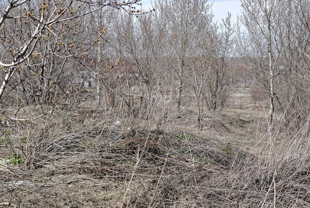 земля р-н Новосибирский снт тер.Сады Приобья Кубовинский сельсовет, 18-я улица, 31 фото 3