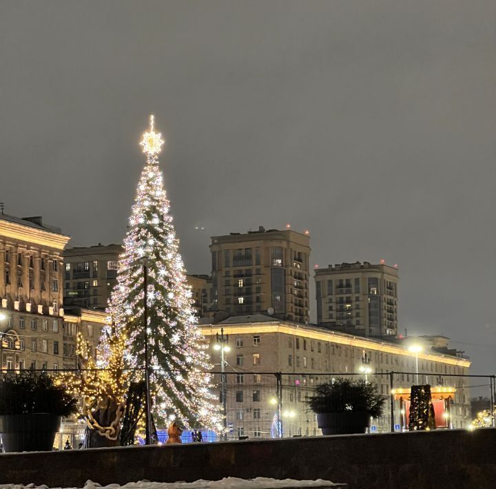 квартира г Санкт-Петербург метро Московская пр-кт Московский 183/185а 8 округ Пулковский меридиан фото 27