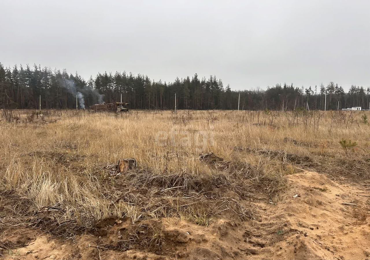 земля р-н Рамонский д Медовка ул Лазурная 512 Новоживотинновское сельское поселение, коттеджный пос. Лазурный, Воронеж фото 5