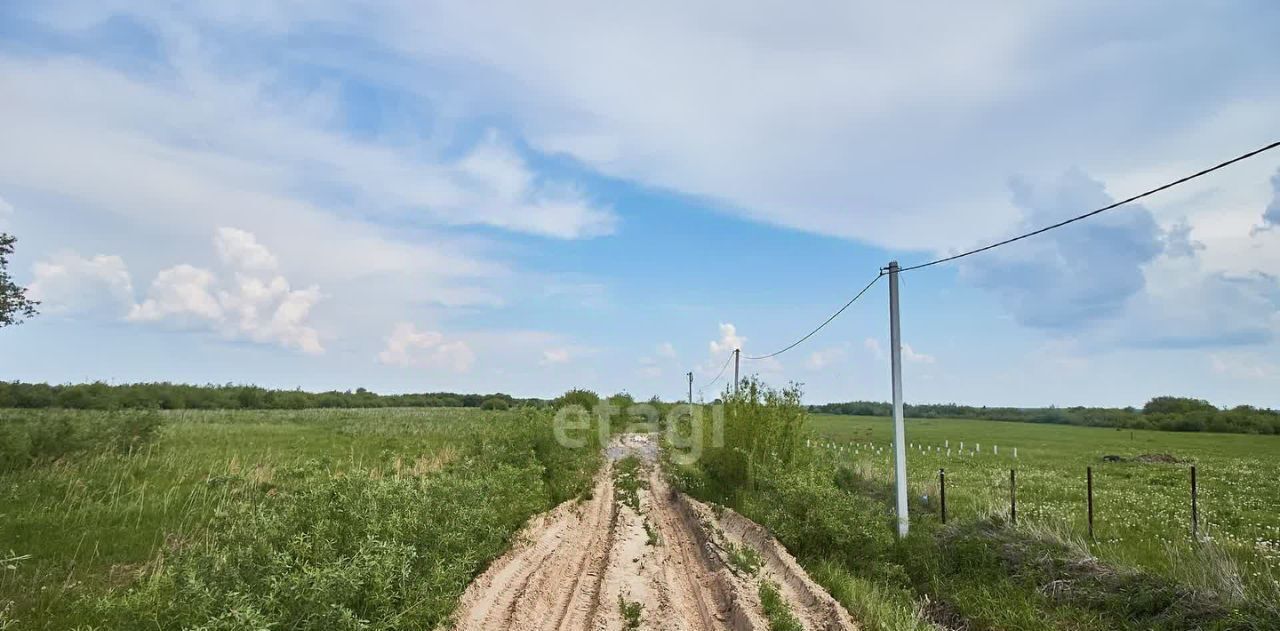 земля р-н Тюменский д Есаулова Клюква кп фото 12