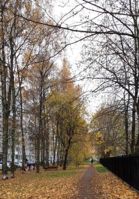 комната г Санкт-Петербург метро Гражданский Проспект пр-кт Луначарского 78к/3 округ Северный фото 17