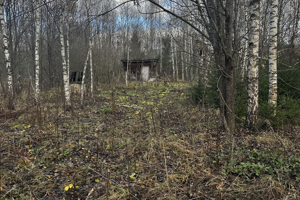 земля городской округ Наро-Фоминский СНТ Ветеран фото 6