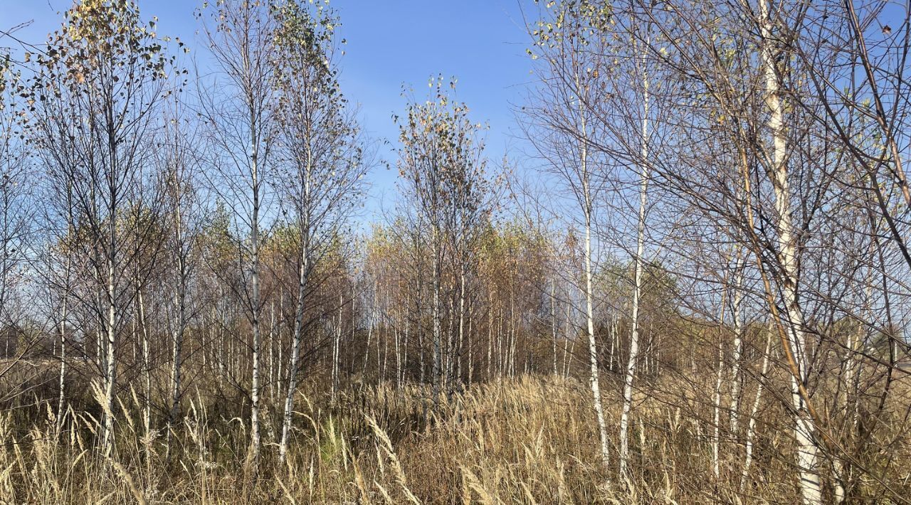 земля городской округ Павловский Посад пос. ЛПХ Алешкино, 92 фото 4