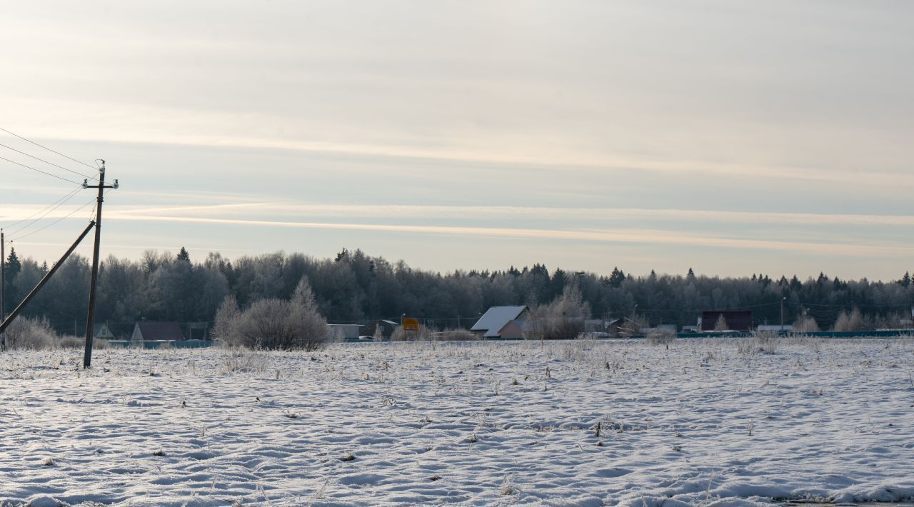 земля городской округ Шаховская рп Шаховская пер Мирный 1 фото 18