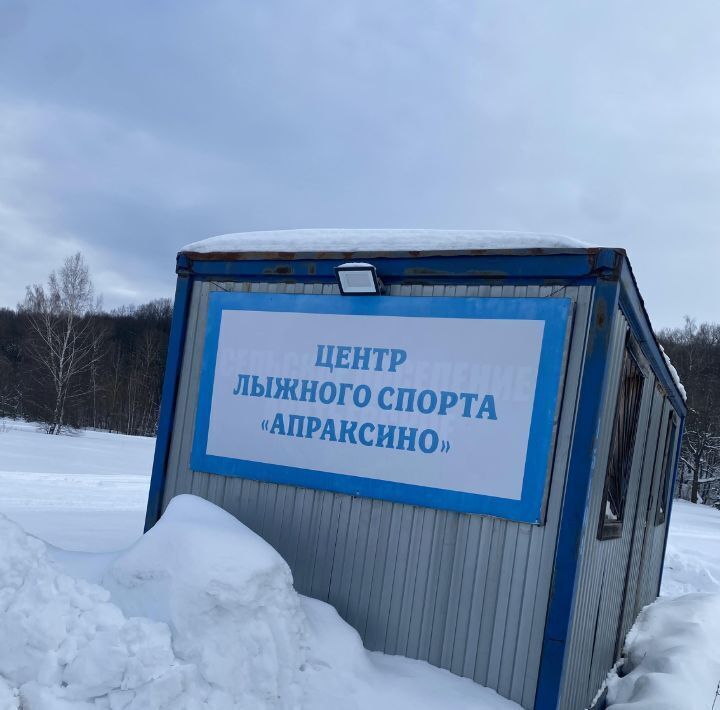 дом городской округ Коломенский д Апраксино Коломна городской округ фото 17