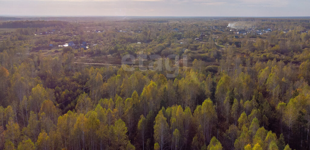 земля г Тюмень снт Светлое фото 1