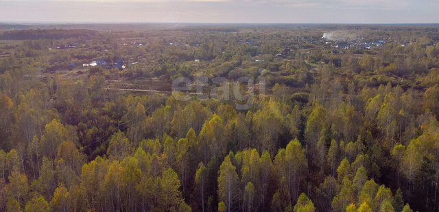 снт Светлое фото