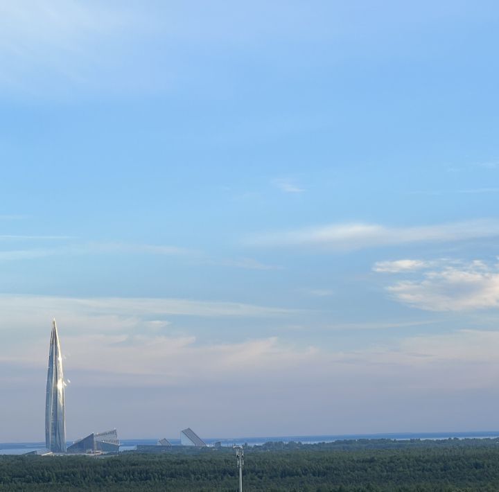 квартира г Санкт-Петербург метро Комендантский Проспект ул Плесецкая 10 округ Юнтолово фото 4