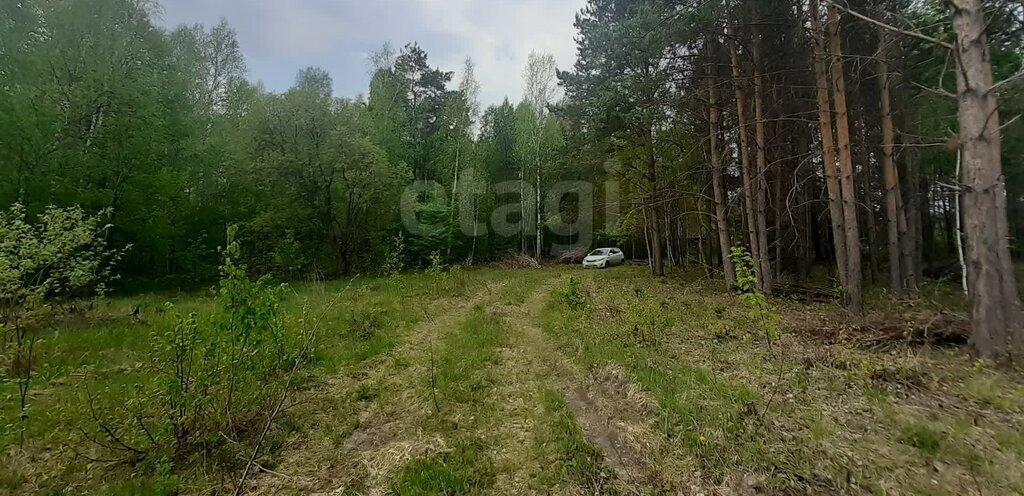 земля р-н Нижнетавдинский с Тюнево ул Западная фото 4