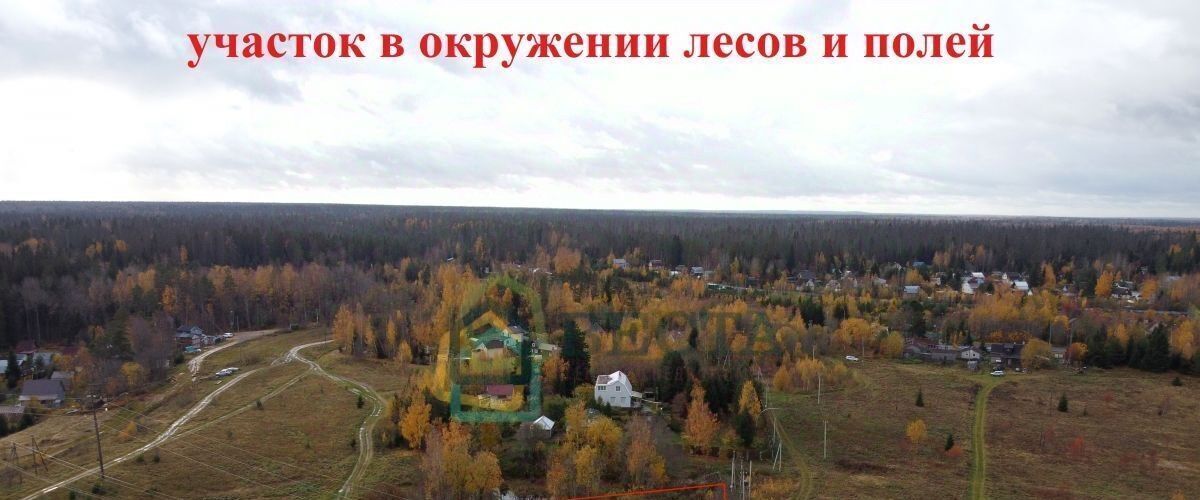 земля р-н Приозерский снт Клен Сосновское с/пос, ул. Заезжая фото 2