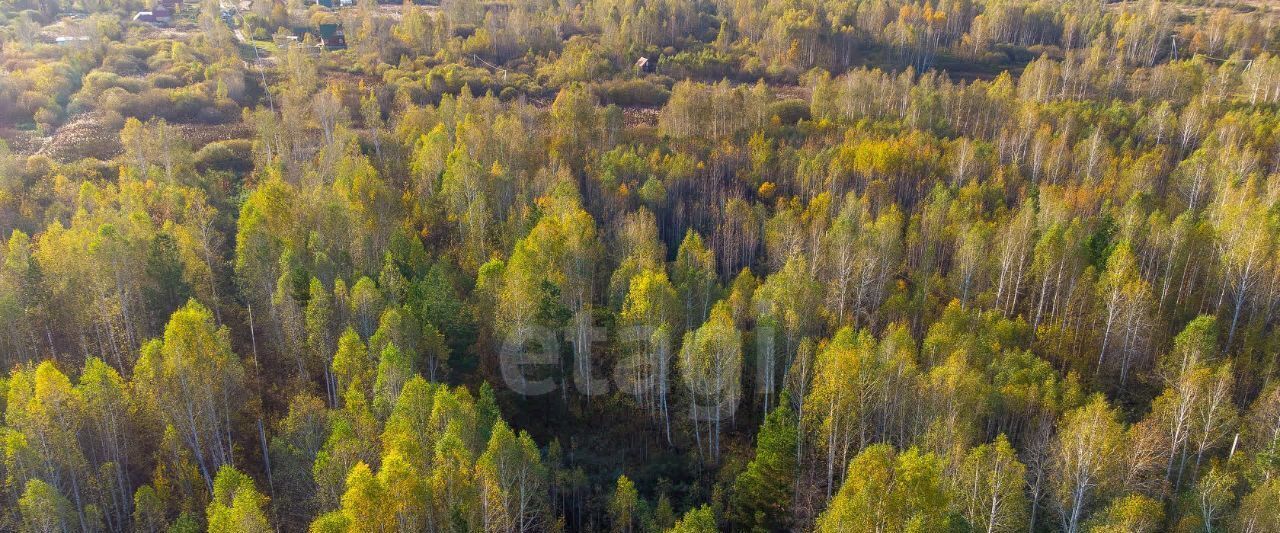 земля г Тюмень снт Светлое фото 15