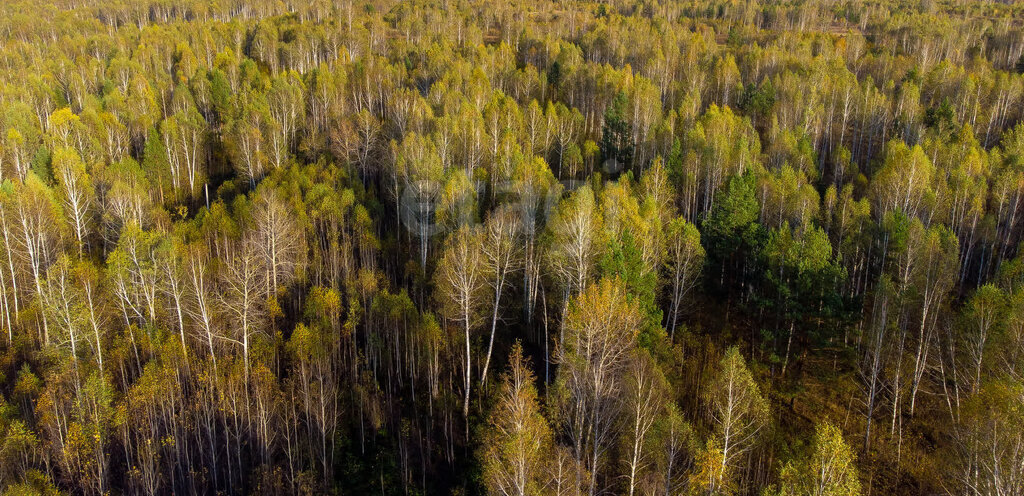 земля г Тюмень снт Светлое фото 10