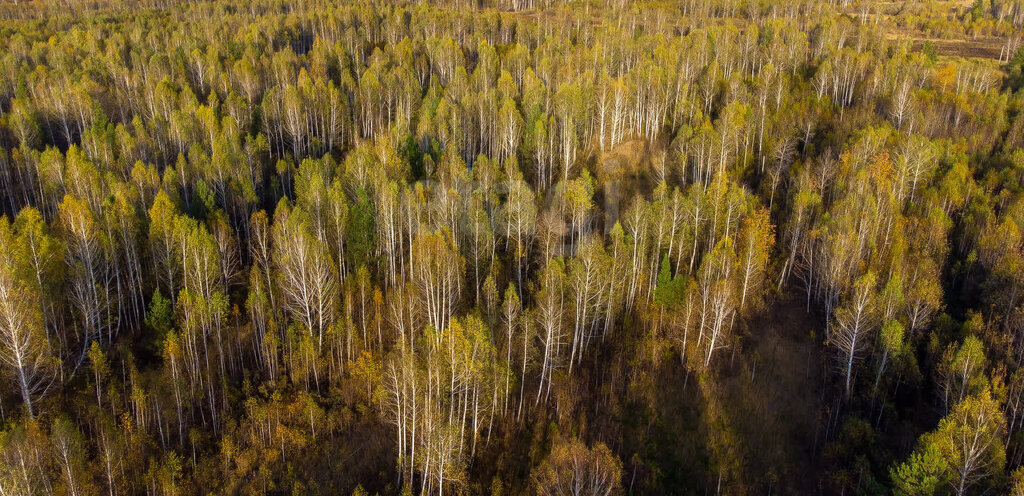 земля г Тюмень снт Светлое фото 13