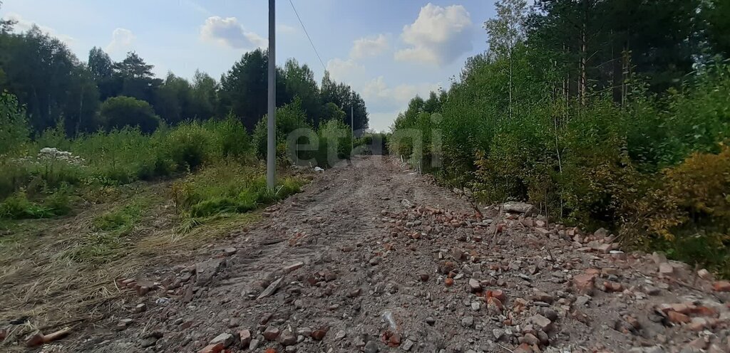 земля р-н Нижнетавдинский с Тюнево ул Западная фото 6