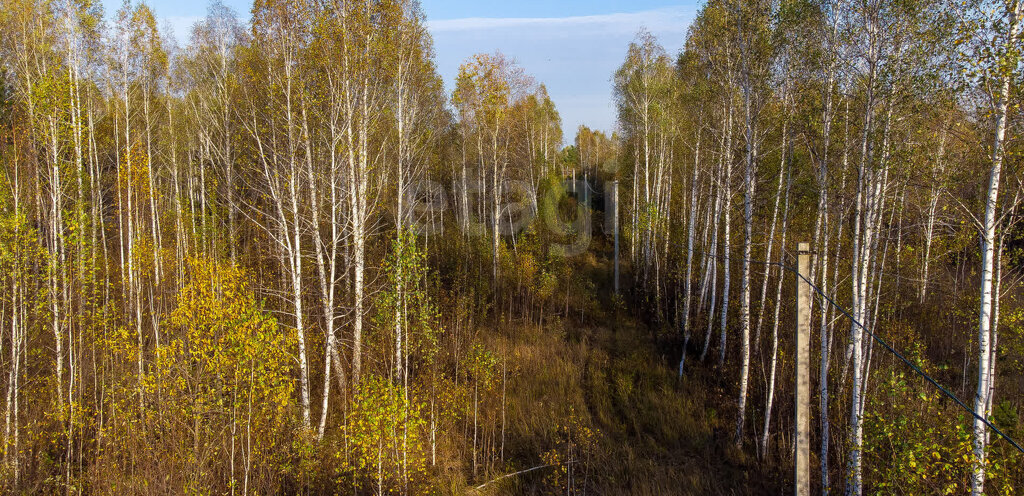 земля г Тюмень снт Светлое фото 7