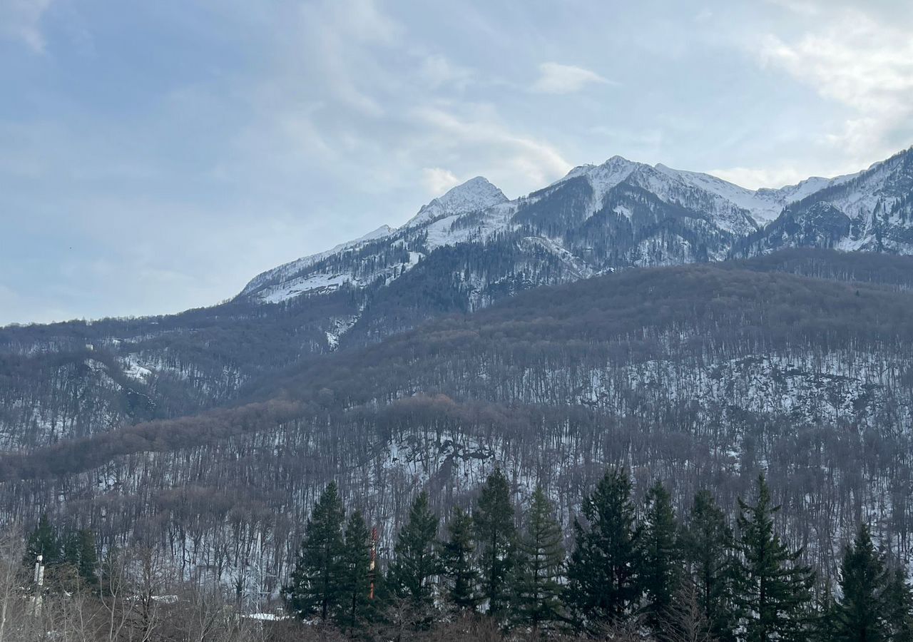 квартира г Сочи р-н Адлерский с Эстосадок наб Времена года 3 Курорт Красная Поляна 540 с Илларионовка р-н Адлерский фото 7