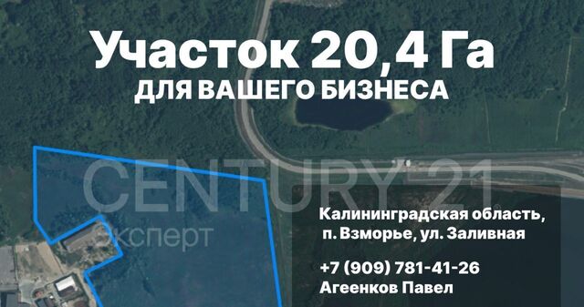 земля п Взморье ул Заливная Светловский городской округ фото