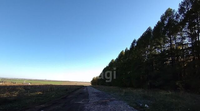 ул Салавата Юлаева сельсовет, Казадаевский фото