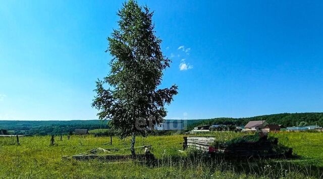 ул Раздольная сельсовет, Красноусольский фото