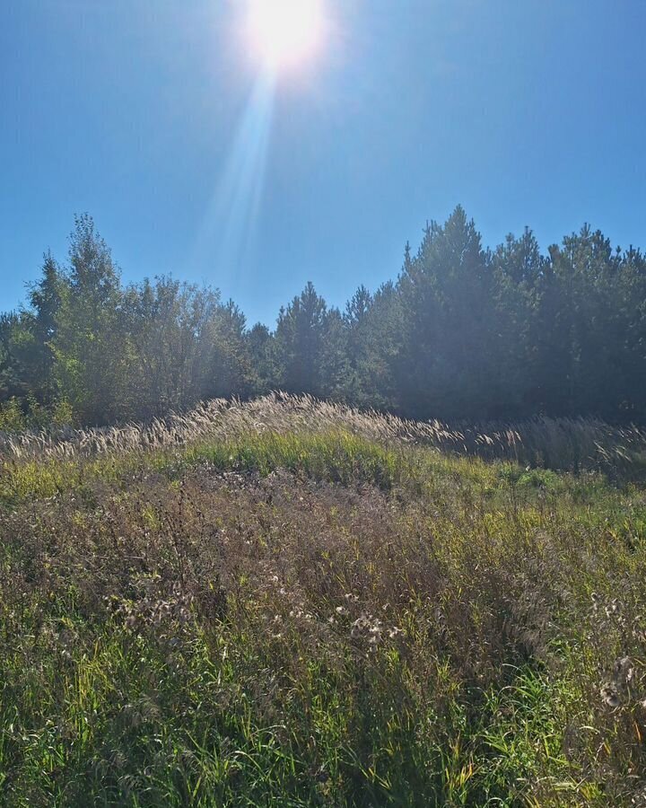 земля р-н Завьяловский д Каменное Ижевск фото 2