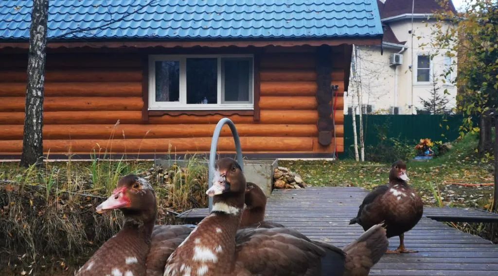 дом городской округ Солнечногорск д Рузино ул Рузино-Гора 26 Рузинская Гора кп, Химки городской округ фото 24