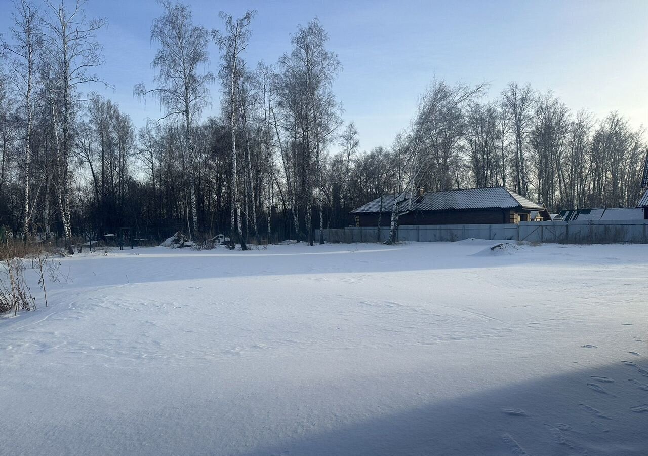 дом р-н Новосибирский с Боровое ул Рабочая Боровской сельсовет, Верх-Тула фото 1