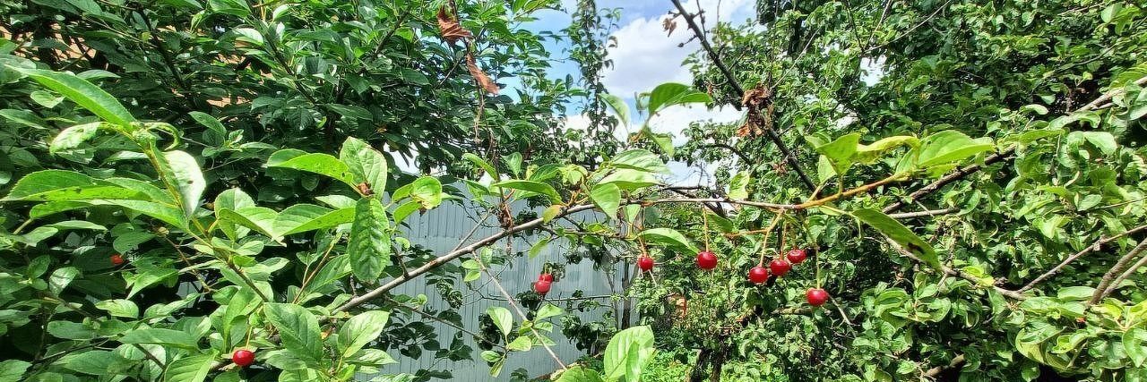 земля городской округ Ленинский с Булатниково снт Булатниково Битца, 1/222 фото 6