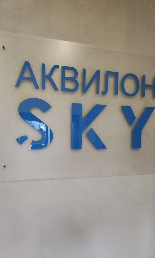 квартира г Санкт-Петербург метро Обухово ул Русановская 24 ЖК «Аквилон Sky» округ Народный фото 20