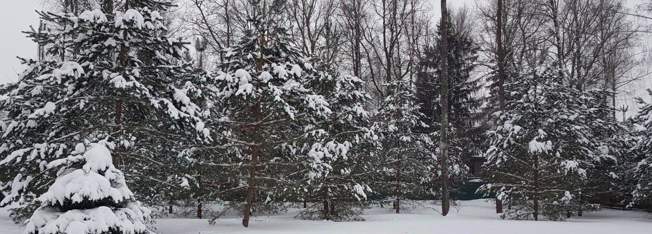 дом городской округ Дмитровский д Дубровки Алтуфьево, 212 фото 44