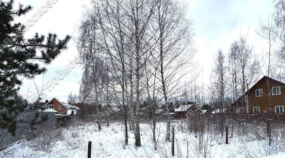 земля городской округ Одинцовский д Сальково аллея Березовая фото 1