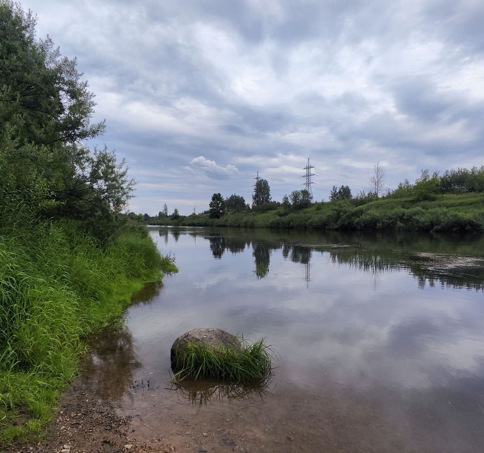 земля р-н Смоленский д Верхние Доманичи Смоленск фото 5