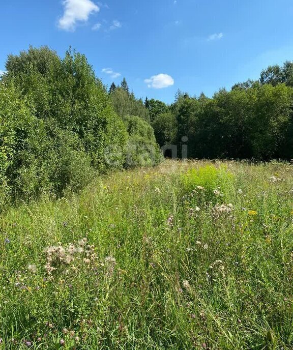 земля городской округ Истра д Матвейково 26 фото 6