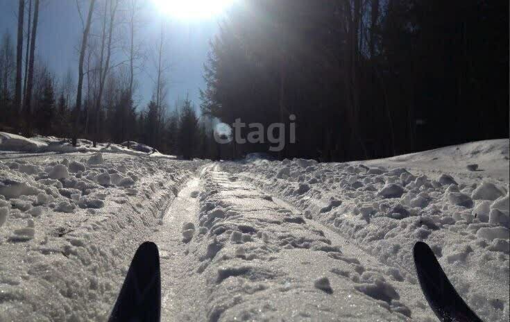 земля городской округ Истра д Зорино тер ДПК Зорино Парк фото 24