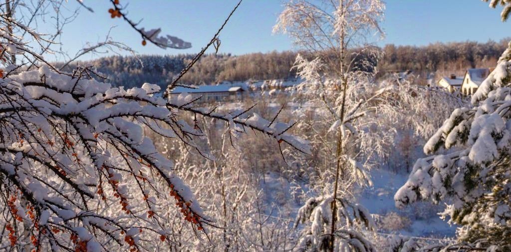 дом р-н Ленинский п Рождественский 75, Тула фото 18