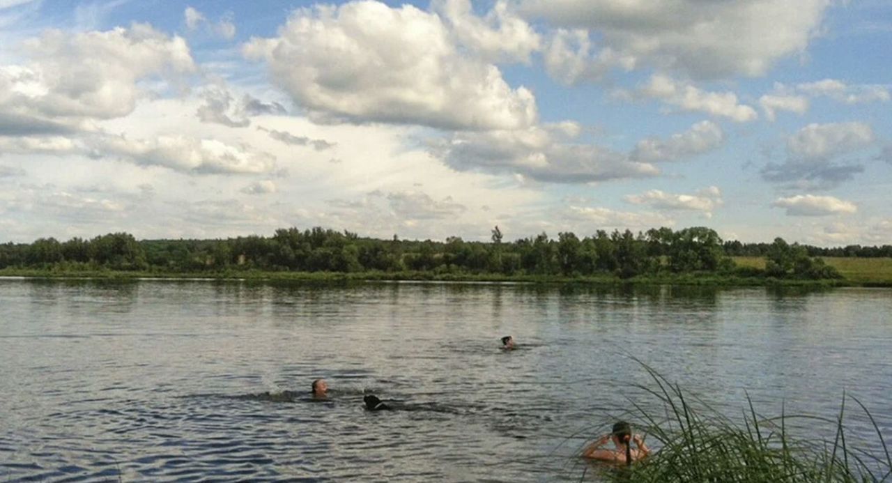 земля городской округ Клин д Губино днт Чистые пруды ул Морская 70 км, Клин, Рогачёвское шоссе фото 9