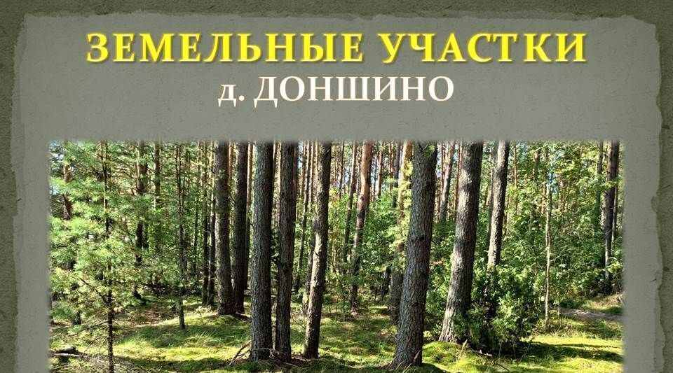 земля р-н Калининский д Доншино ул Новгородская фото 18