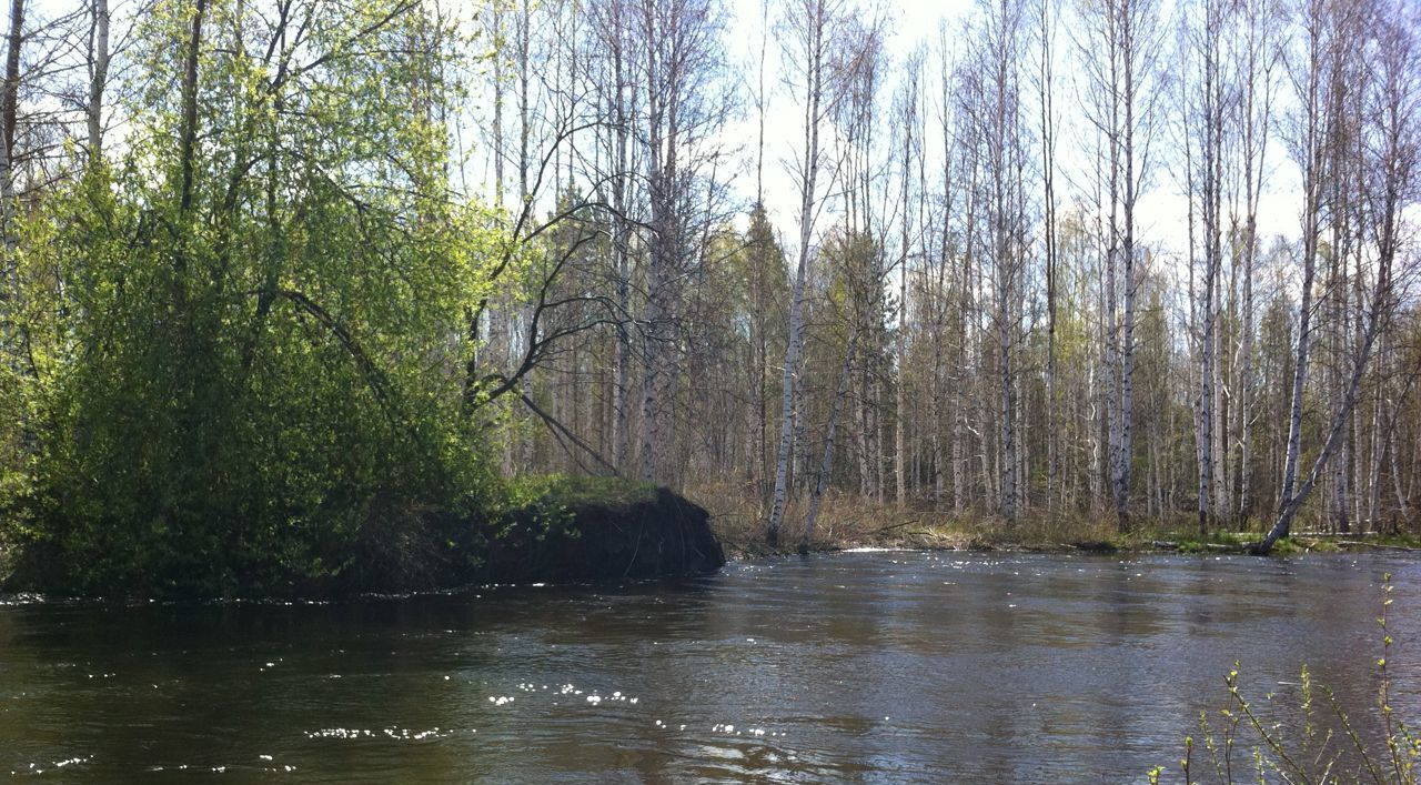 земля р-н Невьянский д Пьянково ул Горная 6 Невьянский городской округ фото 1