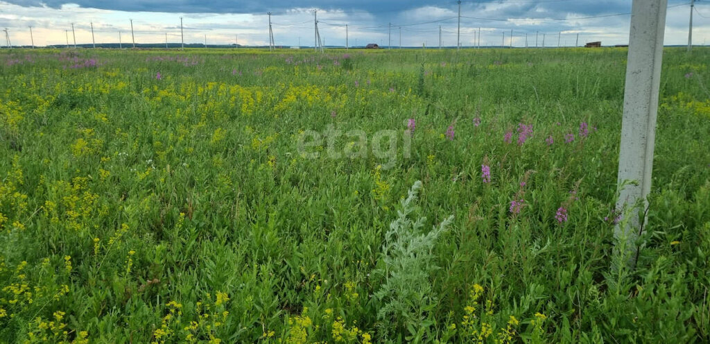 земля р-н Тукаевский д Круглое Поле Бетькинское сельское поселение фото 4