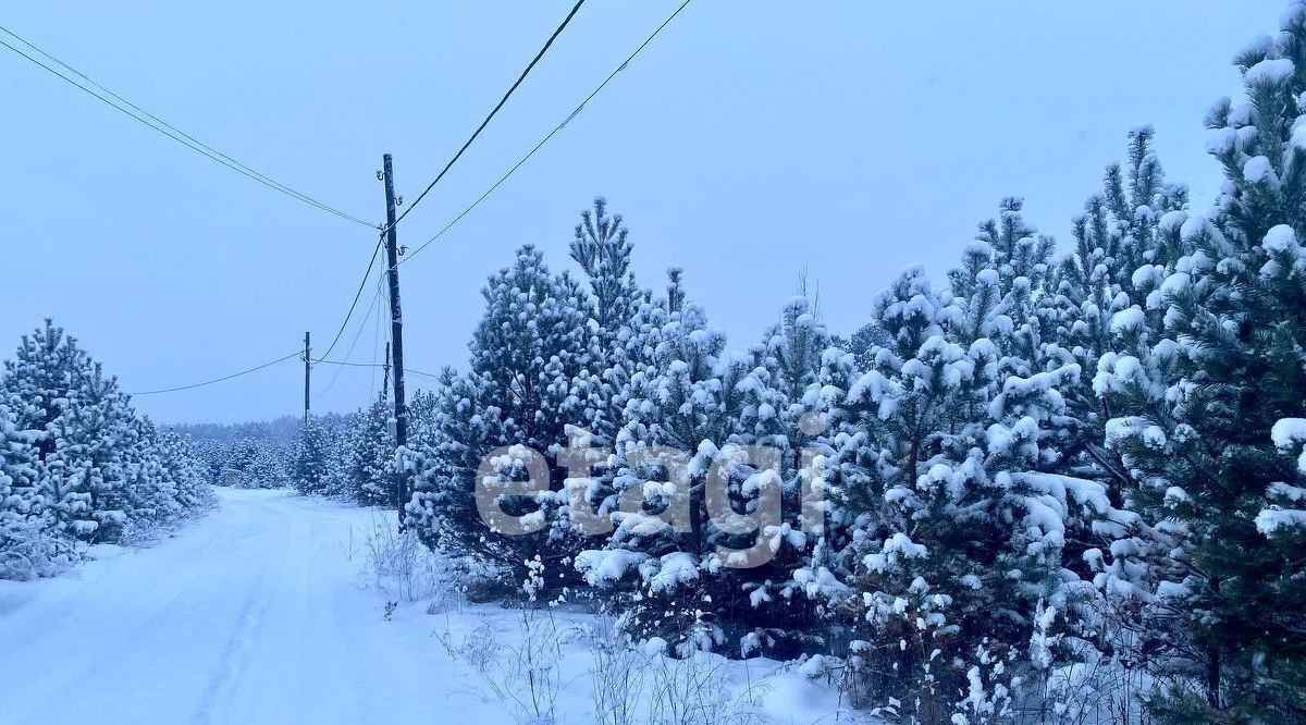 земля р-н Емельяновский п Емельяново Гринбург СНТ фото 8