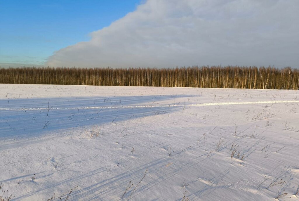 земля городской округ Раменский д Васильево фото 1