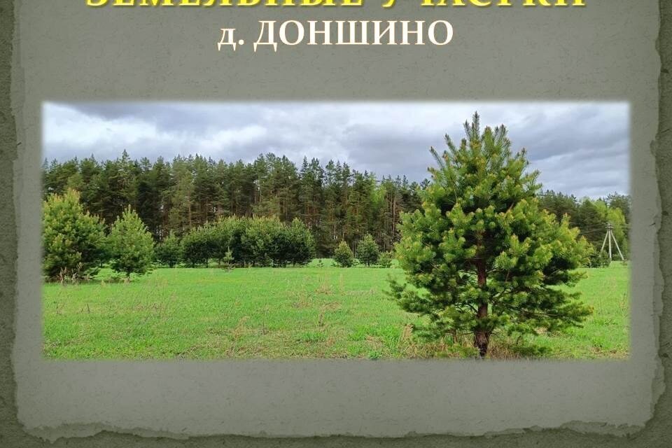 земля р-н Калининский д Доншино ул Новгородская фото 29