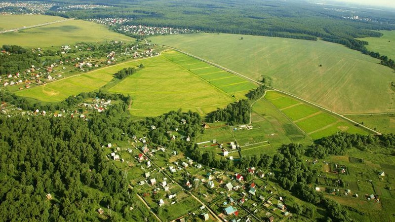 земля р-н Кочкуровский с Кочкурово Шишкин лес фото 1