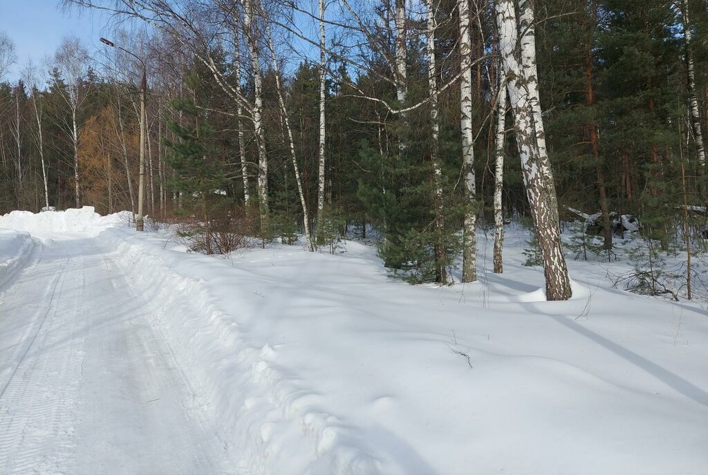 земля городской округ Богородский г Электроугли Железнодорожная фото 3