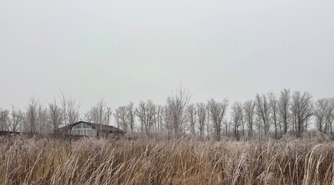 офис городской округ Кашира д Тарасково ул Тополиная 20 фото 1