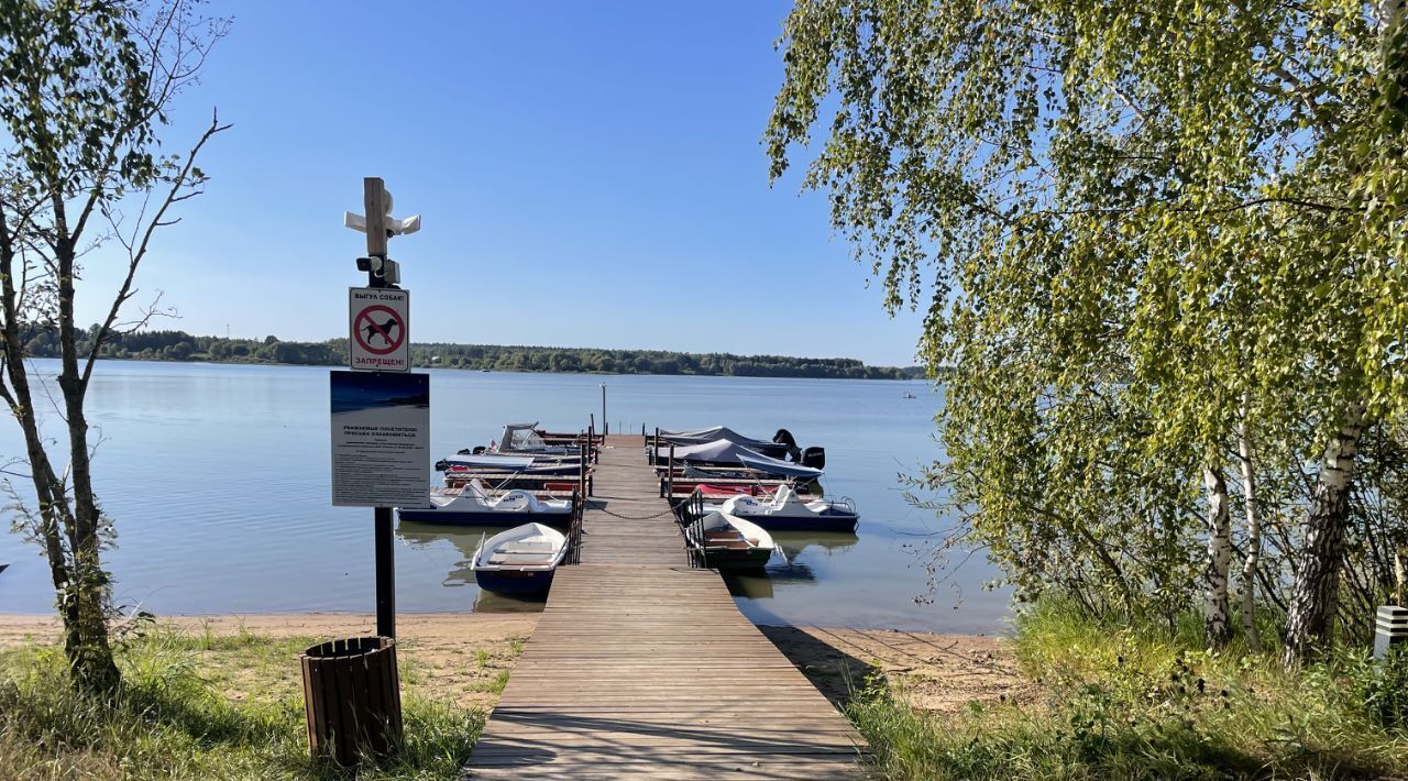 дом городской округ Можайский Золотые Пески кп, 39 фото 19